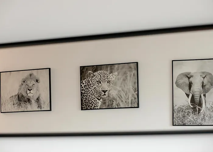 Am Apartments Szczecin City Center 4 Santocka Štetín